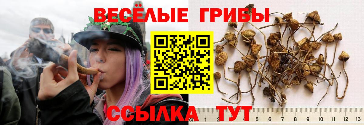 Галлюциногенные грибы Cubensis  Вход с VPN  Дербент 